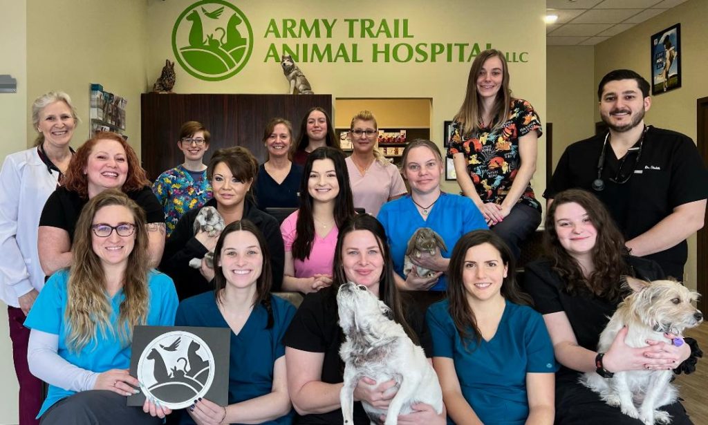 Team – Army Trail Animal Hospital