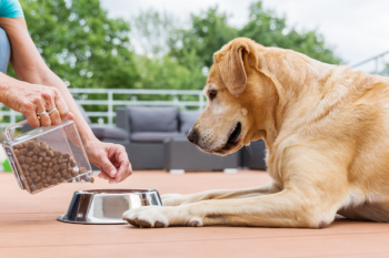 image for Pet Food Hazards You May Not Know About